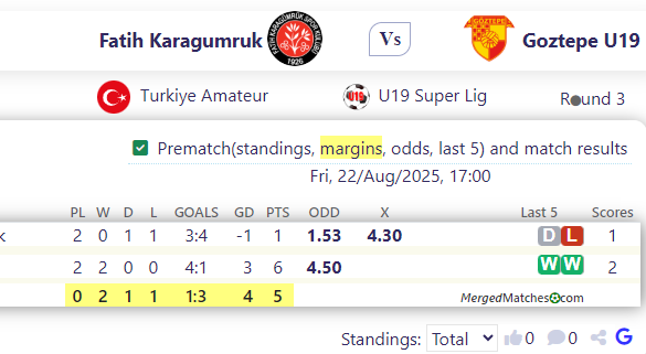 Fatih Karagumruk Vs Goztepe U19 screenshot