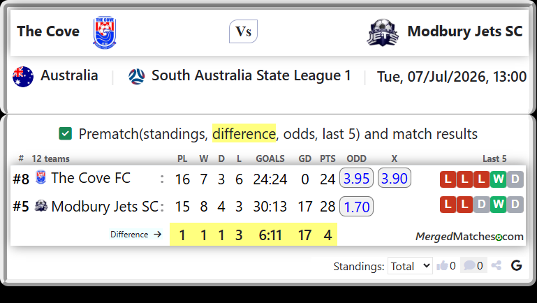 The Cove FC Vs Modbury Jets SC screenshot