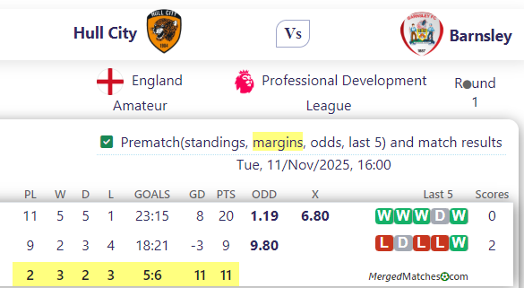 Hull City Vs Barnsley screenshot