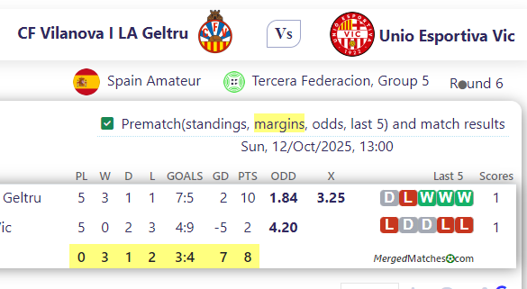 CF Vilanova I LA Geltru Vs Unio Esportiva Vic screenshot