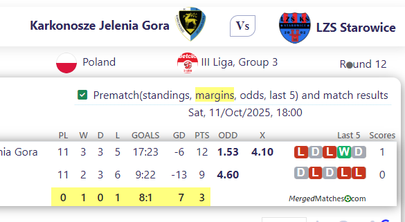 Karkonosze Jelenia Gora Vs LZS Starowice screenshot