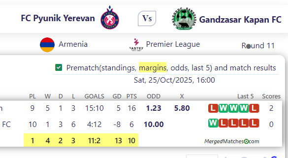 FC Pyunik Yerevan Vs Gandzasar Kapan FC screenshot