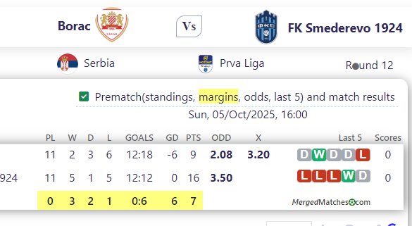 Borac Vs FK Smederevo 1924 screenshot