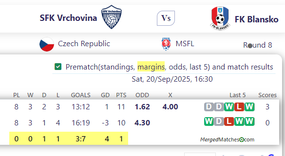 SFK Vrchovina Vs FK Blansko screenshot