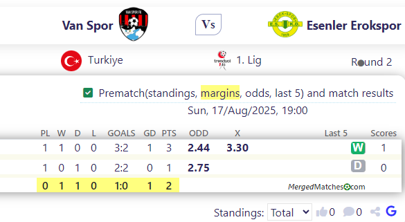 Van Spor Vs Esenler Erokspor screenshot