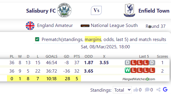 Salisbury FC Vs Enfield Town screenshot