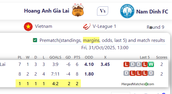 Hoang Anh Gia Lai Vs Nam Dinh FC screenshot