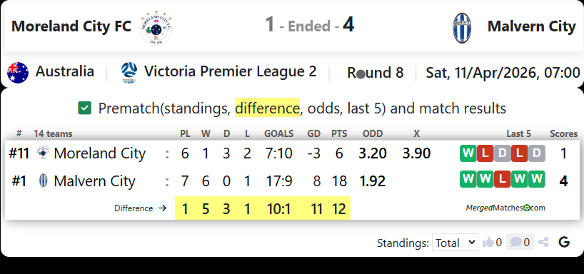Moreland City FC Vs Malvern City screenshot