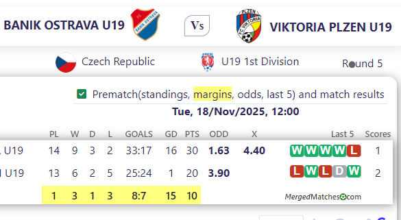 BANIK OSTRAVA U19 Vs VIKTORIA PLZEN U19 screenshot