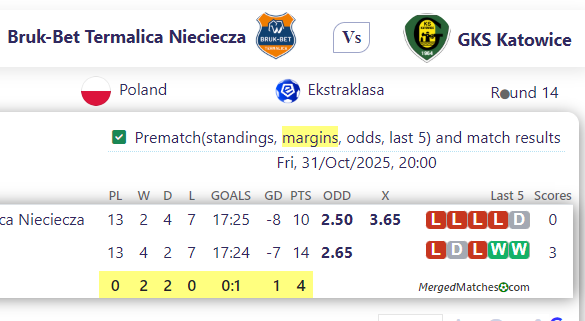 Bruk-Bet Termalica Nieciecza Vs GKS Katowice screenshot