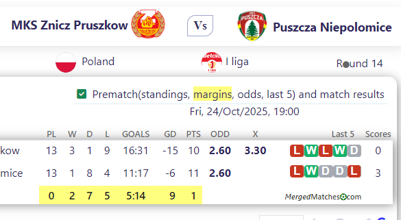 MKS Znicz Pruszkow Vs Puszcza Niepolomice screenshot