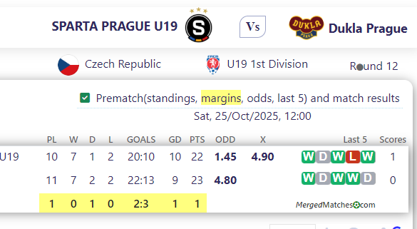 SPARTA PRAGUE U19 Vs Dukla Prague screenshot