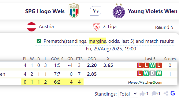 SPG Hogo Wels Vs Young Violets Wien screenshot