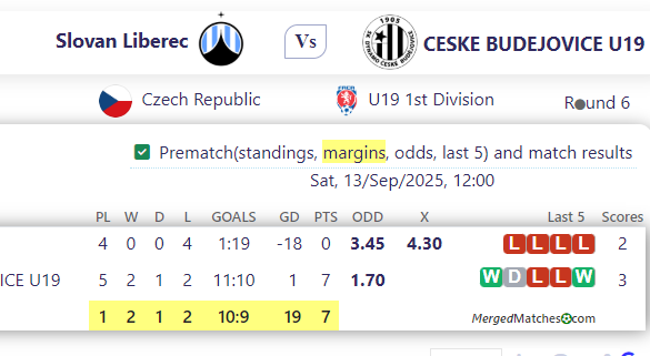 Slovan Liberec Vs CESKE BUDEJOVICE U19 screenshot