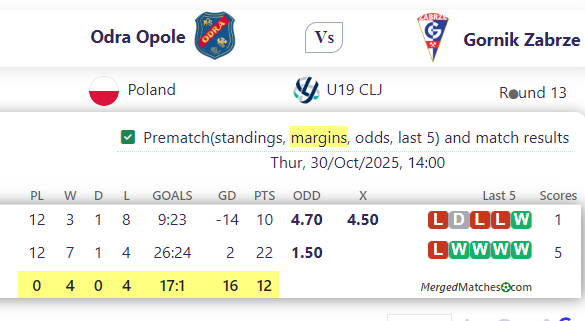 Odra Opole Vs Gornik Zabrze screenshot