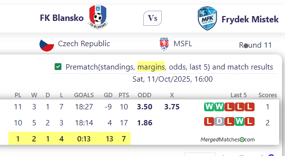 FK Blansko Vs Frydek Mistek screenshot