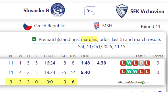 Slovacko B Vs SFK Vrchovina screenshot