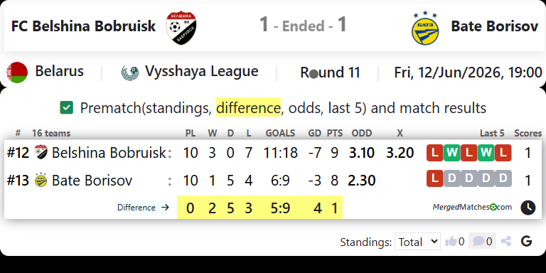 FC Belshina Bobruisk Vs Bate Borisov screenshot
