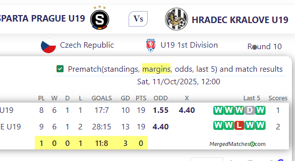 SPARTA PRAGUE U19 Vs HRADEC KRALOVE U19 screenshot