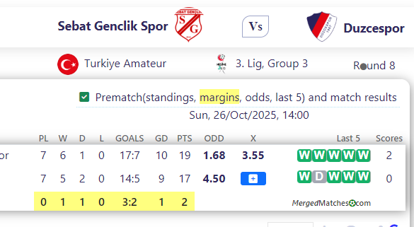 Sebat Genclik Spor Vs Duzcespor screenshot