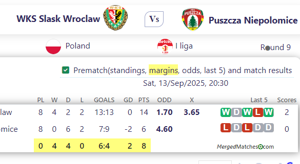 WKS Slask Wroclaw Vs Puszcza Niepolomice screenshot
