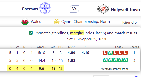 Caersws Vs Holywell Town screenshot