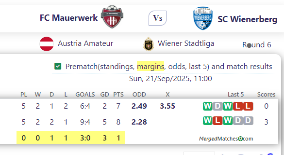 FC Mauerwerk Vs SC Wienerberg screenshot