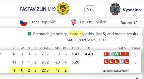 FASTAV ZLIN U19 Vs Vysocina screenshot