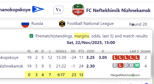 Chayka Peschanokopskoye Vs FC Neftekhimik Nizhnekamsk screenshot
