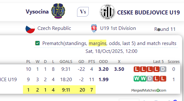 Vysocina Vs CESKE BUDEJOVICE U19 screenshot