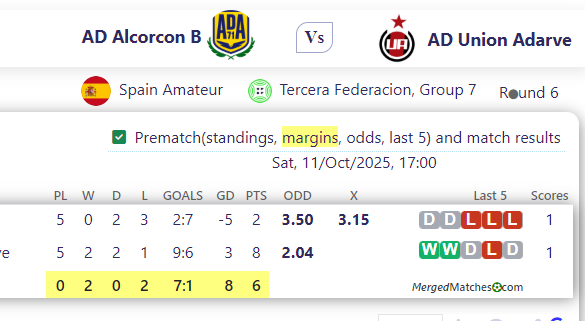 AD Alcorcon B Vs AD Union Adarve screenshot