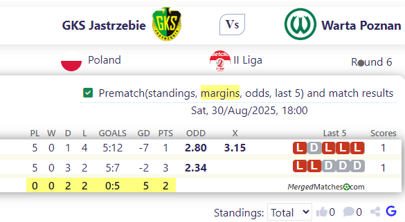 GKS Jastrzebie Vs Warta Poznan screenshot
