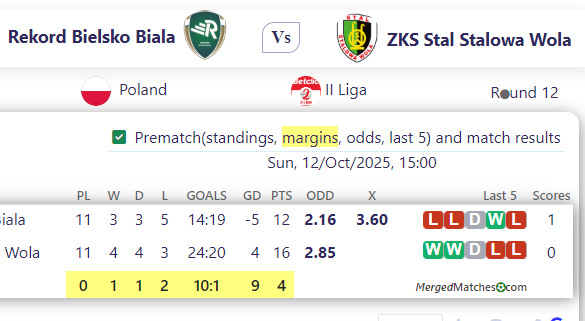 Rekord Bielsko Biala Vs ZKS Stal Stalowa Wola screenshot