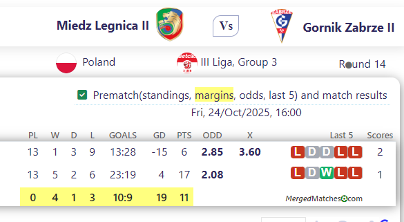 Miedz Legnica II Vs Gornik Zabrze II screenshot
