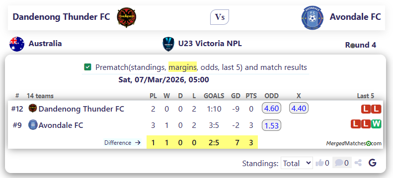 Dandenong Thunder FC Vs Avondale FC screenshot
