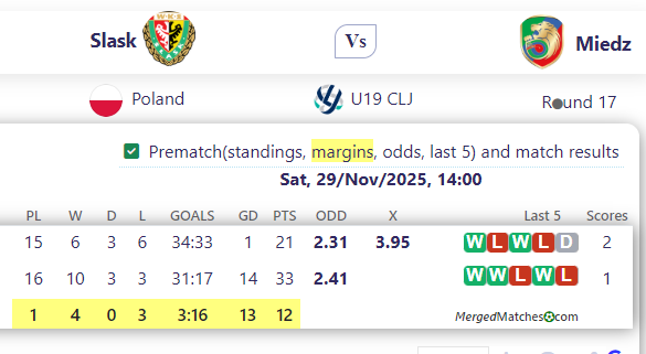 Slask Vs Miedz screenshot