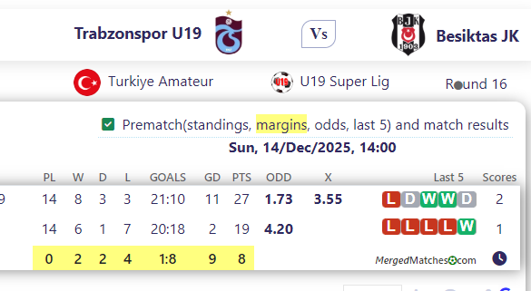 Trabzonspor U19 Vs Besiktas JK screenshot