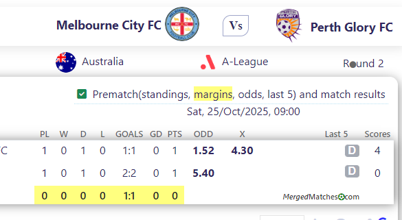 Melbourne City FC Vs Perth Glory FC screenshot