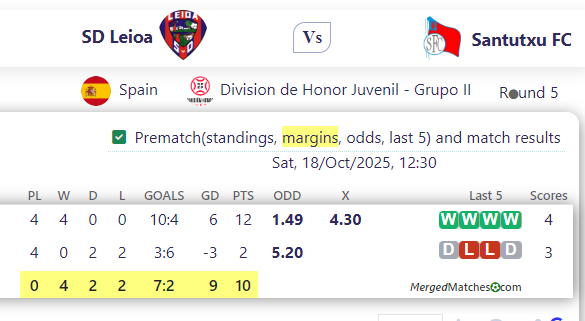 SD Leioa Vs Santutxu FC screenshot