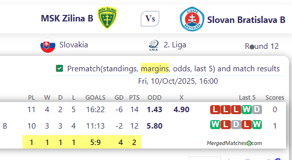 MSK Zilina B Vs Slovan Bratislava B screenshot