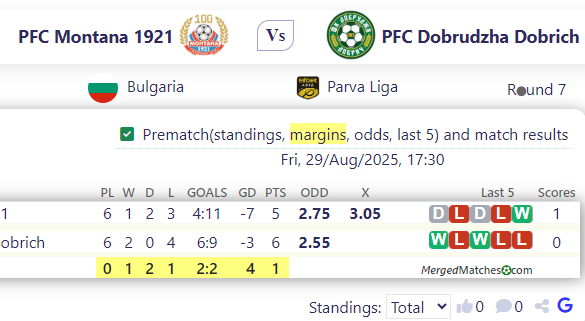 PFC Montana 1921 Vs PFC Dobrudzha Dobrich screenshot