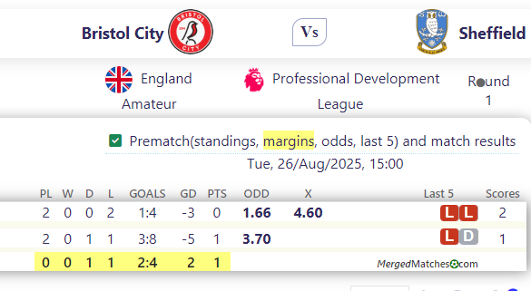 Bristol City Vs Sheffield screenshot