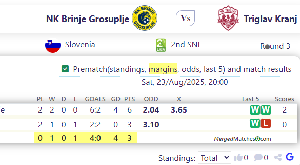 NK Brinje Grosuplje Vs Triglav Kranj screenshot