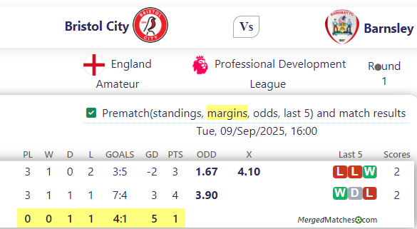 Bristol City Vs Barnsley screenshot