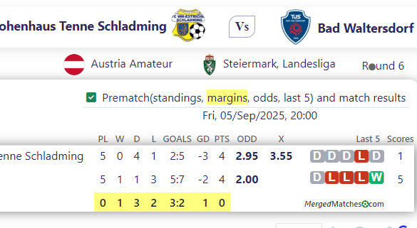 FC Hohenhaus Tenne Schladming Vs Bad Waltersdorf screenshot
