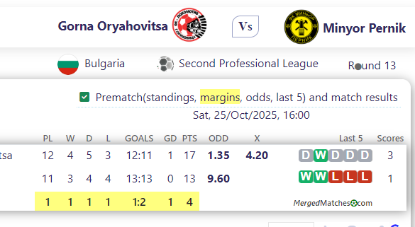 Gorna Oryahovitsa Vs Minyor Pernik screenshot
