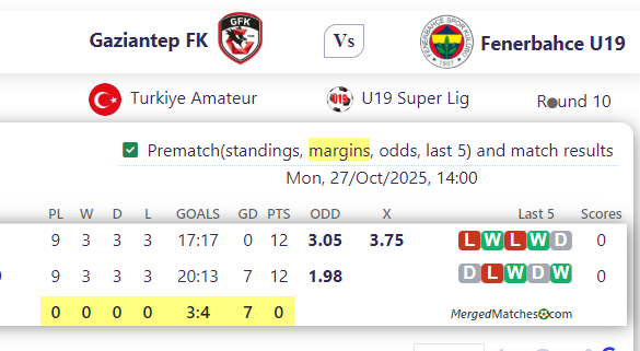 Gaziantep FK Vs Fenerbahce U19 screenshot