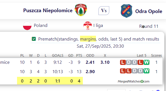 Puszcza Niepolomice Vs Odra Opole screenshot