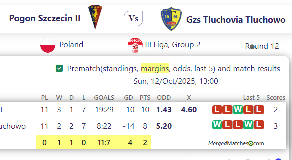 Pogon Szczecin II Vs Gzs Tluchovia Tluchowo screenshot
