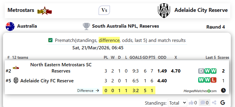Metrostars Vs Adelaide City Reserve screenshot